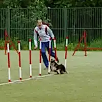 Спортсмены с разрядами и званиями