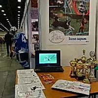 "Я Выбираю Спорт!", сентябрь 2015