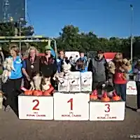 Кубок Алматы 2014