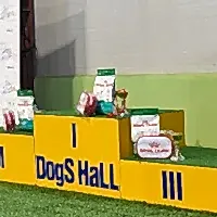 Кубок Алматы (РЛК) 2017