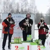 Муниципальные соревнования, 11.02.2017 г.