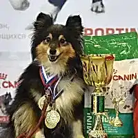 Весенний Кубок СФКС 2017