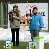 Соревнования МО Пискаревка, 12.03.2016 г.