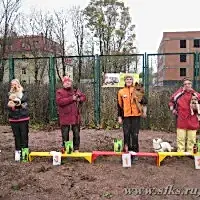 Соревнования Новичков в Красном Селе, 24.10.2015 г.