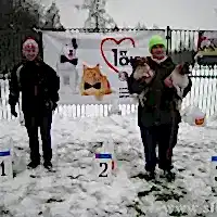 Соревнования Новичков, 15.03.2014 г.