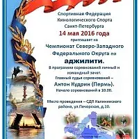 Чемпионат Северо-Западного ФО 2016