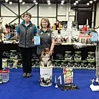 Современное Двоеборье, 16.12.17 г.