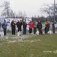 Туннельные соревнования и эстафета, 17.12.2011 г.