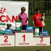 Чемпионат Алматы 2014