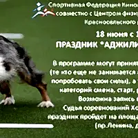 Соревнования Новичков в Красном Селе, 18.06.2016 г.