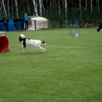 Первенство Алматы 2013