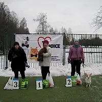 Зон-туннельные соревнования, 15.02.2014 г.