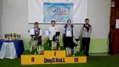 Макси Макси