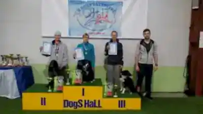 Медиум Медиум