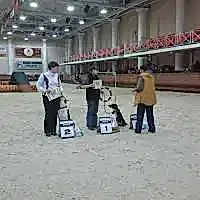 Соревнования в Алматы 22-23/02/2016