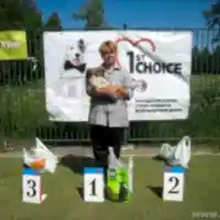 Соревнования Новичков, 22.06.2013 г.