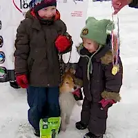 Соревнования новичков, 26.02.2012 г.