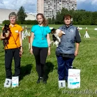 Мемориал Кольчатова (Экоохта) 2015