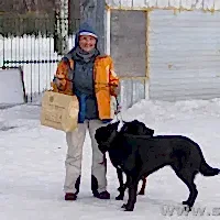 Первоапрельские соревнования 2013!