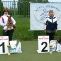 Чемпионат Алматы 2015