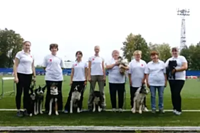 команда2 команда2