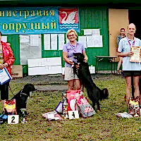 Чемпионат Росси РКФ 2011