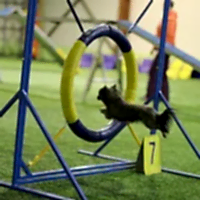 Чемпионат Алматы 2020