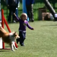 Чемпионат Северо-Западного ФО 2012