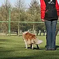 Тренировка с Катериной Гуровой, апрель 2012