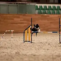 Кубок России 2021