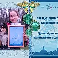 Победителей номинаций