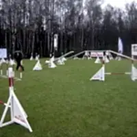 Дрессировочная площадка "Пискаревка"