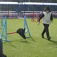 Мастер-классы от Марины Серовой, апрель 2012