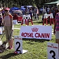 Соревнования в Выборге, 27.08.2011 г.