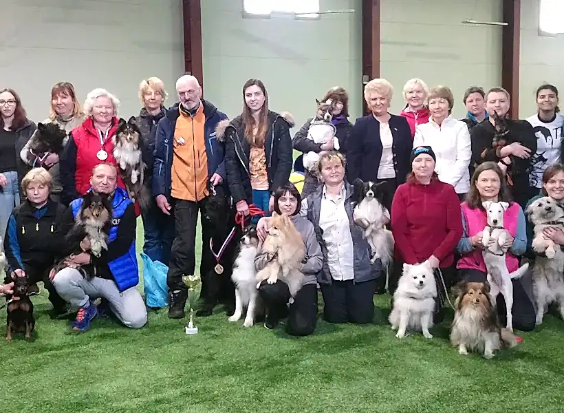 Общее фото с соревнований по аджилити - Весенний Кубок СФКС, 2020