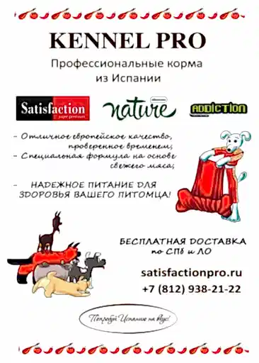 Буклет компании KENNEL PRO описывающий достоинства профессиональных итальянских кормов из Испании.