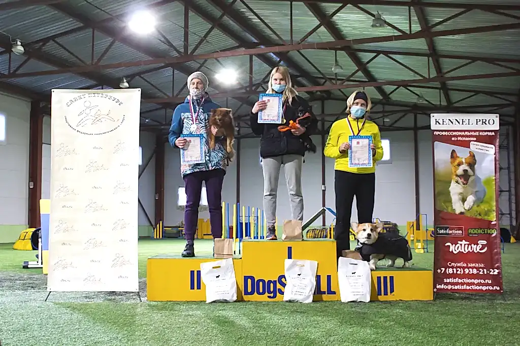 Призеры Чемпионата Алматы 2021 по аджилити (аджилити, профи, той)