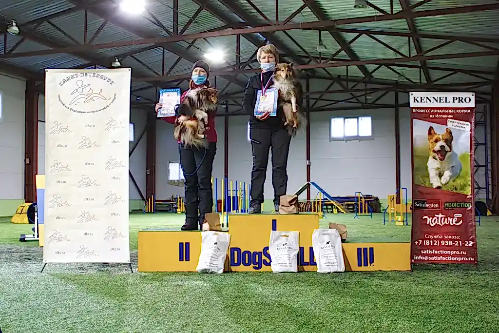 Призеры Чемпионата Алматы 2021 по аджилити (аджилити, профи, мини)