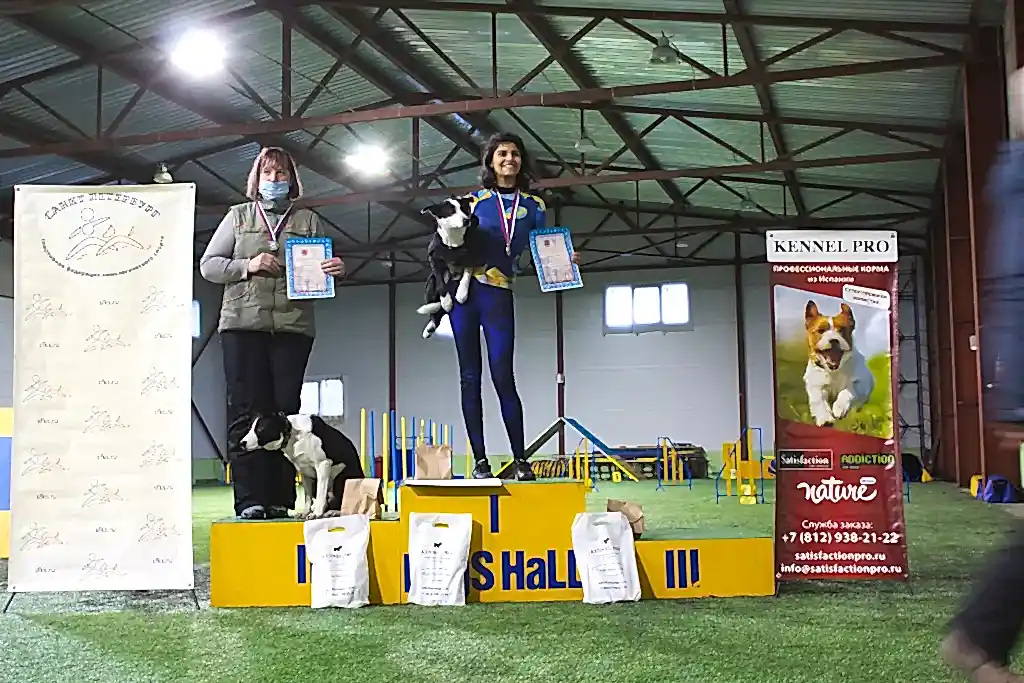 Призеры Чемпионата Алматы 2021 по аджилити (аджилити, профи, медиум)