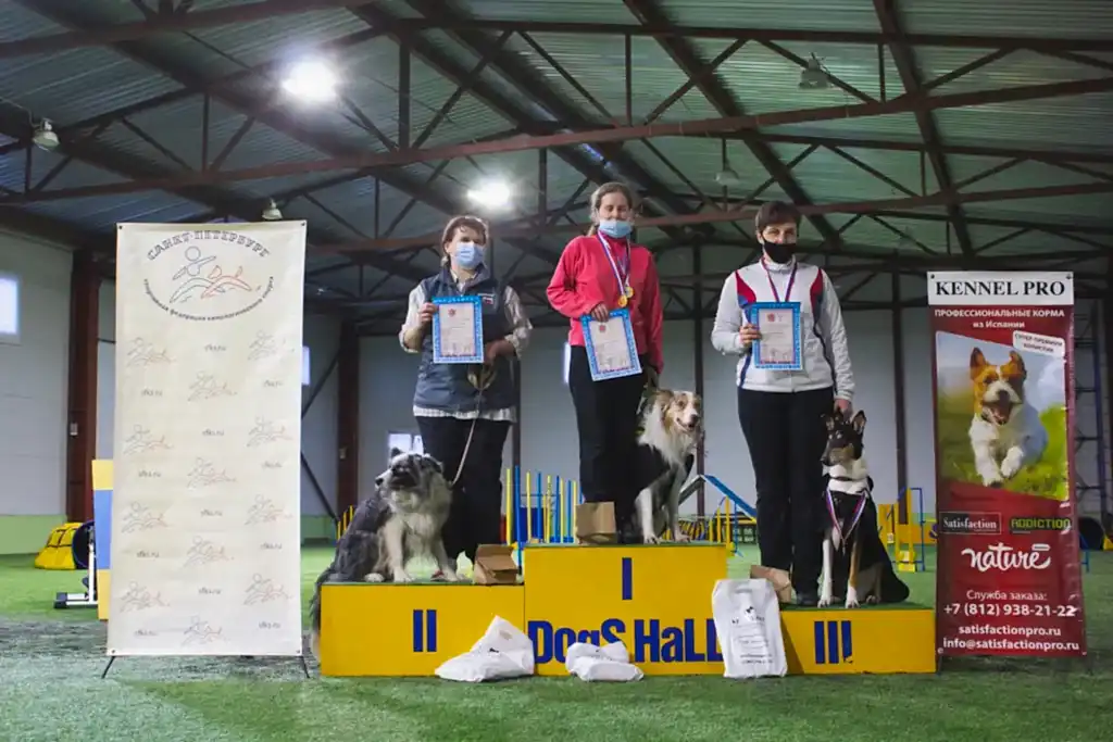 Призеры Чемпионата Алматы 2021 по аджилити (аджилити, профи, макси)