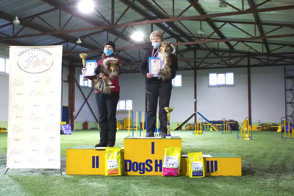 Призеры Чемпионата Алматы 2021 по аджилити (двоеборье, профи, мини)