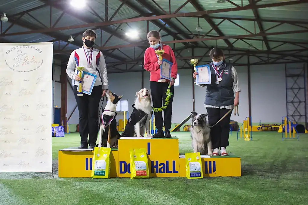 Призеры Чемпионата Алматы 2021 по аджилити (двоеборье, профи, макси)