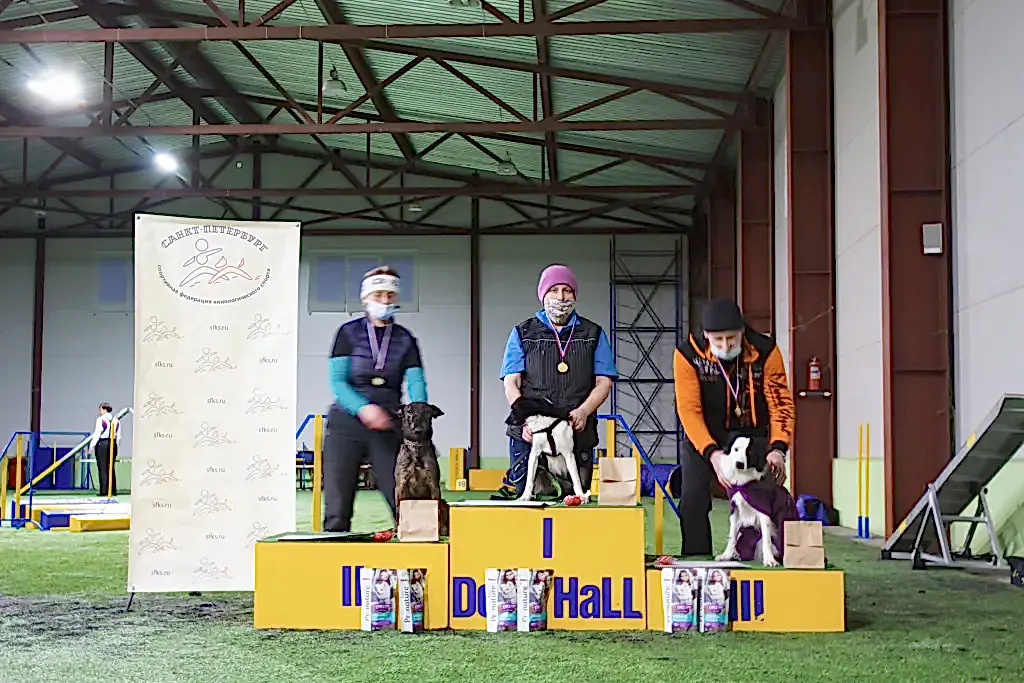 Призеры соревнований "Январские старты" 2021 по аджилити в категории Рост (первая трасса, медиум)