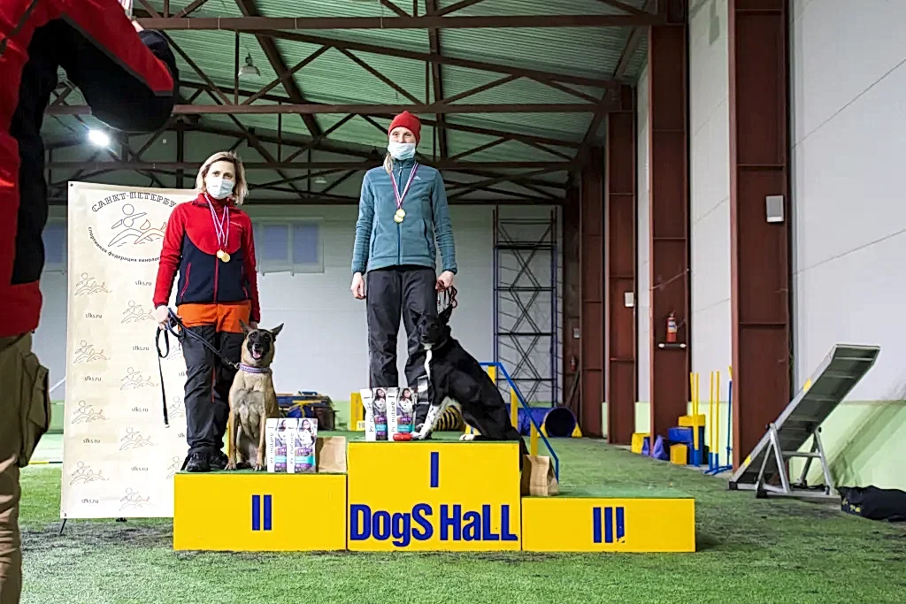 Призеры соревнований "Январские старты" 2021 по аджилити в категории Рост (вторая трасса, макси)