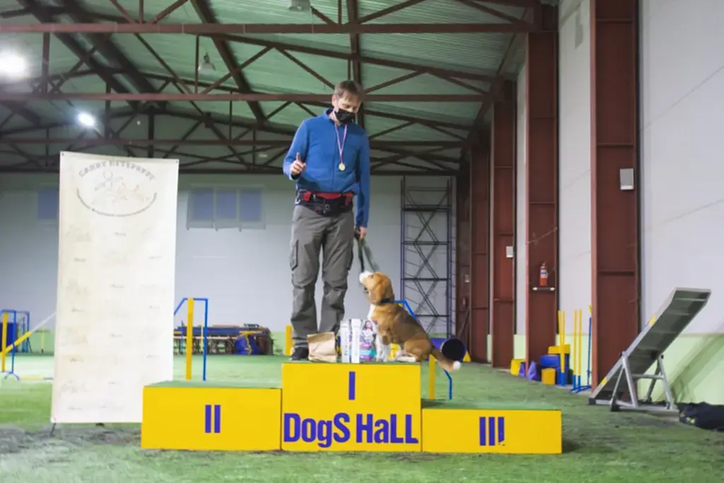 Призеры соревнований "Январские старты" 2021 по аджилити в категории Рост (вторая трасса, мини)