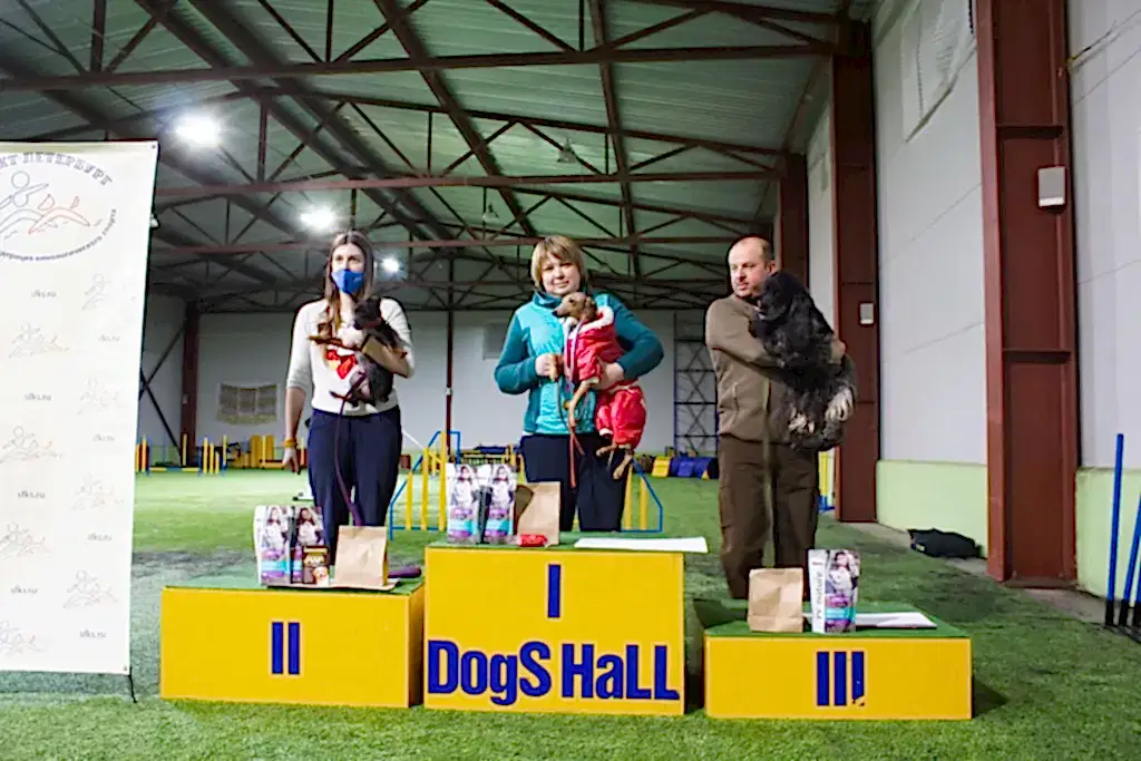 Призеры соревнований "Январские старты" 2021 по аджилити в категории Старт (первая трасса, мини)