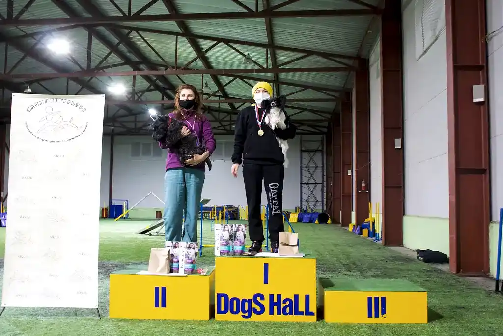 Призеры соревнований "Январские старты" 2021 по аджилити в категории Старт (первая трасса, той)