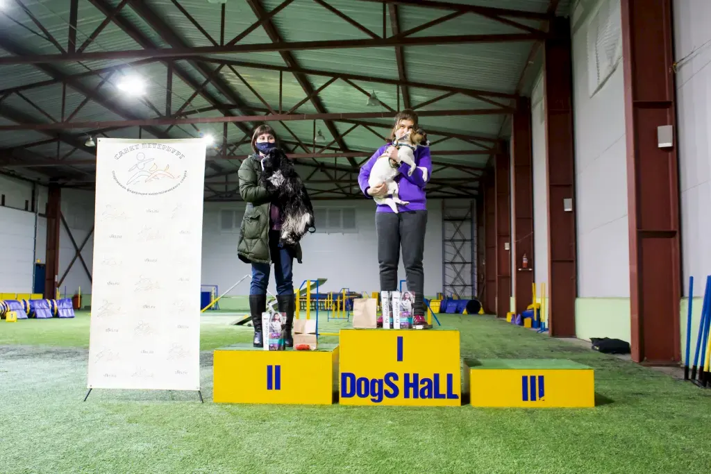 Призеры соревнований "Январские старты" 2021 по аджилити в категории Старт (вторая трасса, мини)