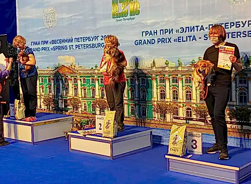 Церемония награждения победителей туннельных соревнований по аджилити