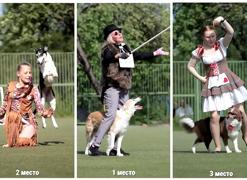 Победители Чемпионата Санкти-Петербурга по кинологическому фристайлу 2021